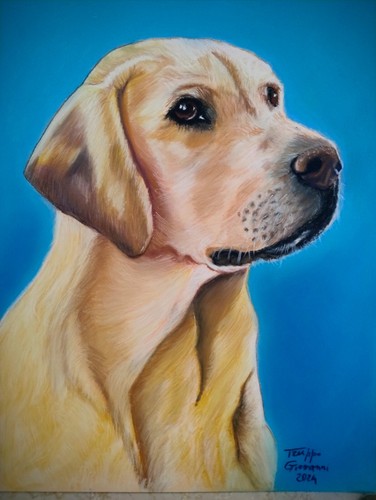 Ritratto commissione da - commissione,