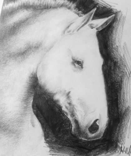 Disegno matita carta - a,