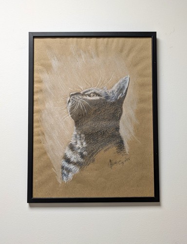 Ritratto gatto gattino - ritratto, di
