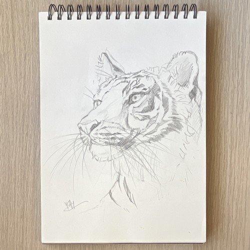 Disegno originale matita - disegno,
